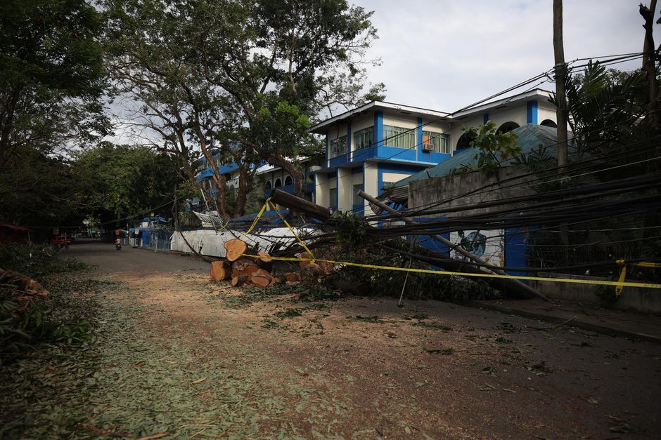Fallen Tree Damage