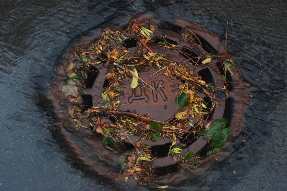 sewer backup